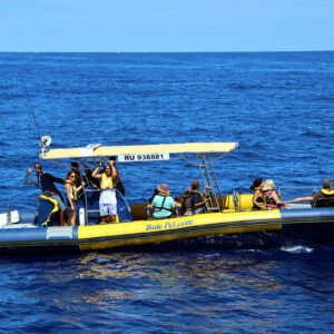 Départ Le Port (2h) Saison des baleines